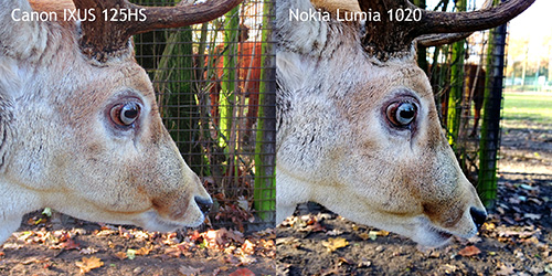 Lumia 1020 Vergelijking - Hert