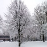 Sneeuw